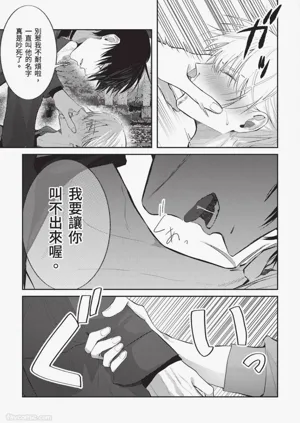 第164頁圖