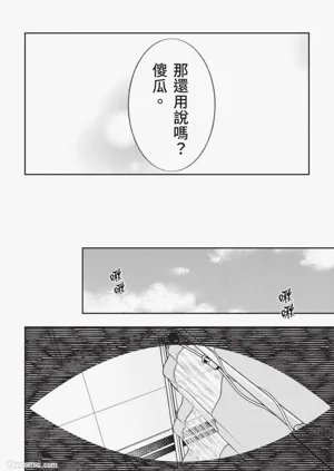 第185頁圖