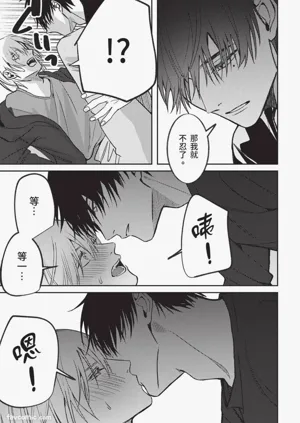 第204頁圖