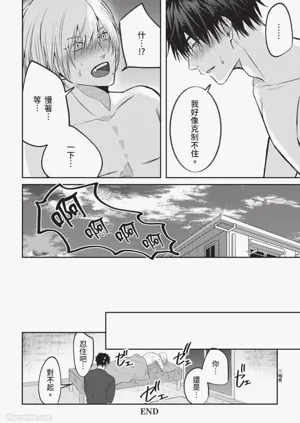 第207頁圖