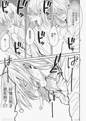 第44頁圖