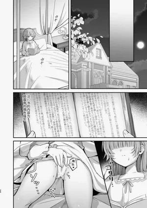 第27頁圖
