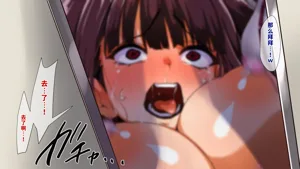 第488頁圖