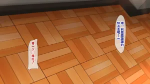 第528頁圖