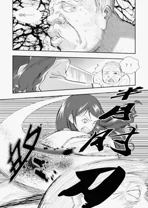 第215頁圖