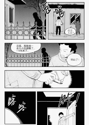 第204页图