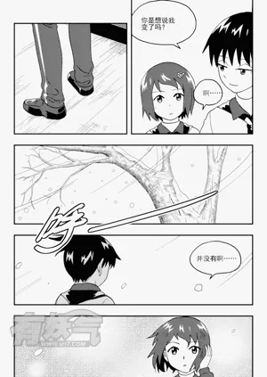 第243頁圖