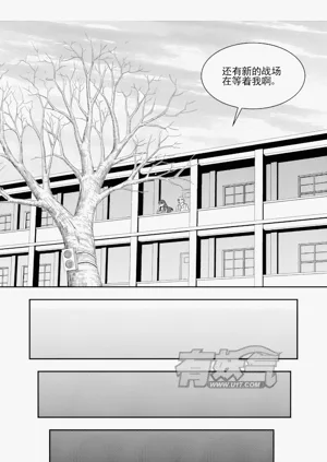 第256頁圖