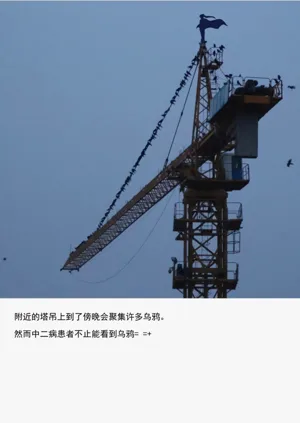 第40頁圖