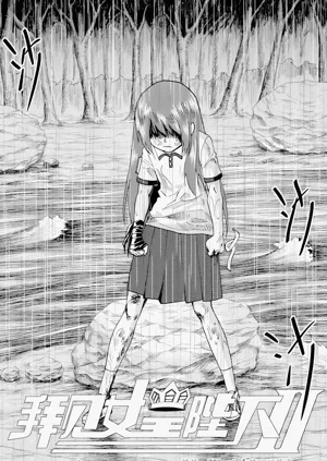 第245頁圖