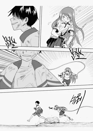 第271頁圖