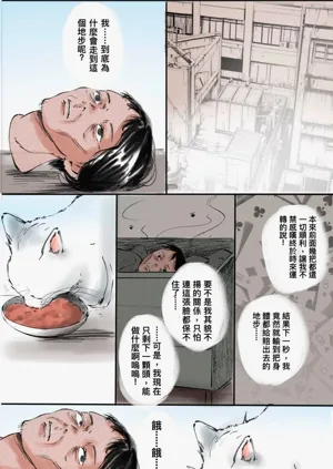 第276頁圖