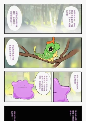 第501頁圖