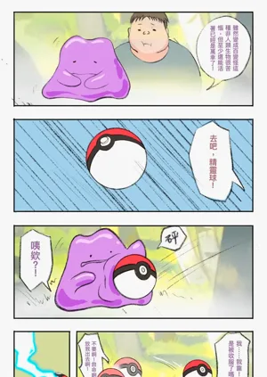第502頁圖
