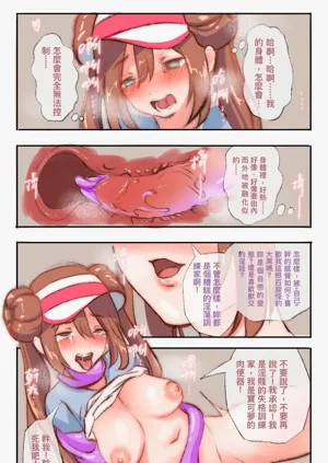 第509頁圖
