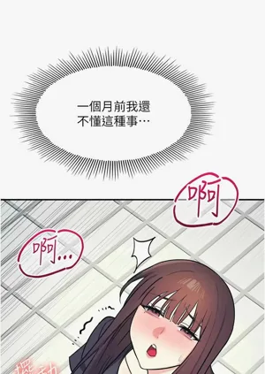 第288頁圖