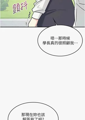 第313頁圖