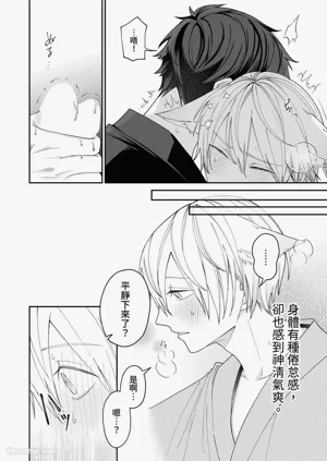 第95頁圖