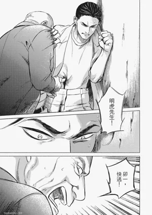 第204頁圖