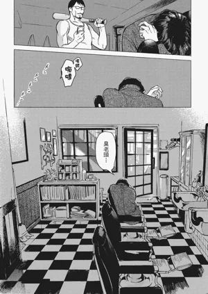 第213頁圖