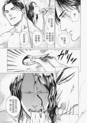 第31頁圖
