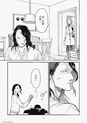 第163頁圖
