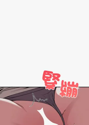 第243頁圖