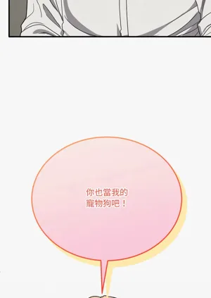 第337頁圖