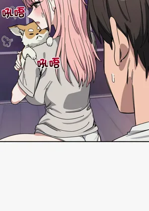 第456頁圖