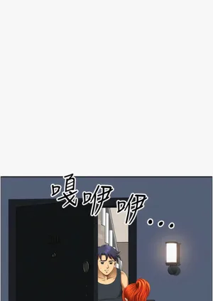 第247頁圖