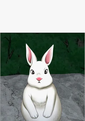 第456頁圖