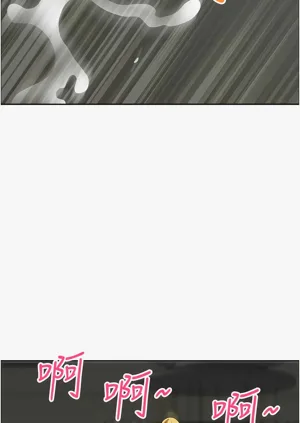 第493頁圖