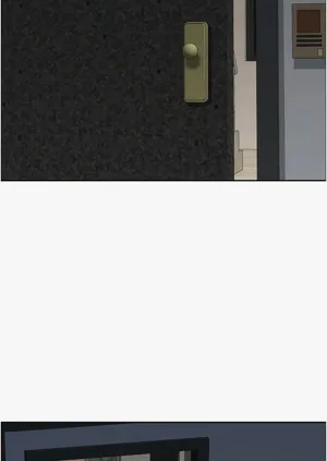 第517頁圖