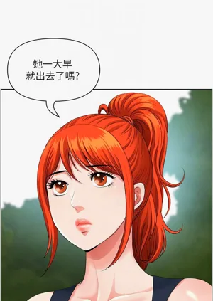 第599頁圖