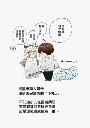 第2页图