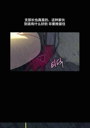 第295頁圖