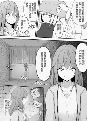 第11页图