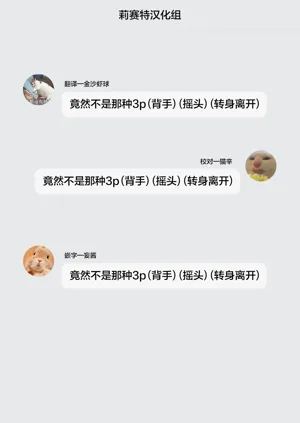 第17页图