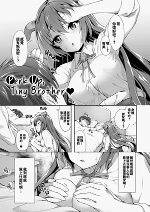 第126頁圖