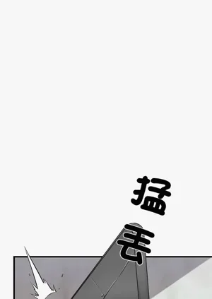 第225頁圖