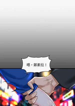 第238頁圖