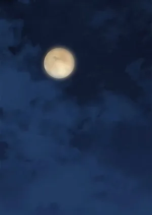 第328頁圖