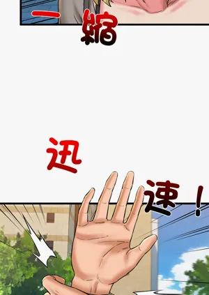 第537頁圖