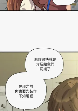 第733頁圖