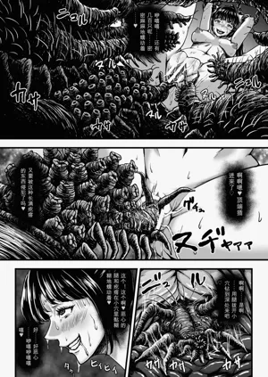 第17页图