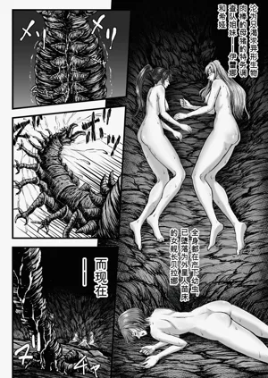 第4页图