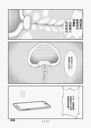 第413頁圖