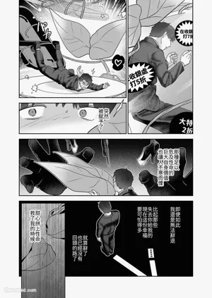 第113頁圖