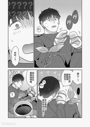 第116頁圖