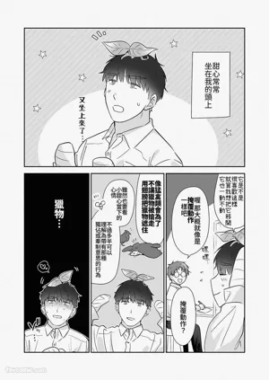 第189頁圖